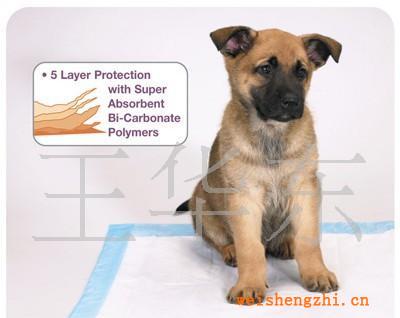 處理全新寵物墊、寵物墊、寵物護理墊、一次性寵物清潔墊