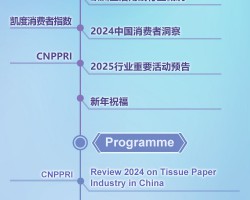 2024年生活用紙和衛(wèi)生用品行業(yè)年度盤點(diǎn)